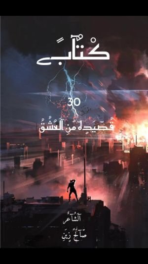 كتاب 30 قصيدة من العشق 