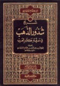كتاب شرح شذور الذهب في معرفة كلام العرب 