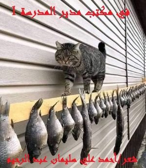 كتاب في مكتب مدير المدرسة 1 