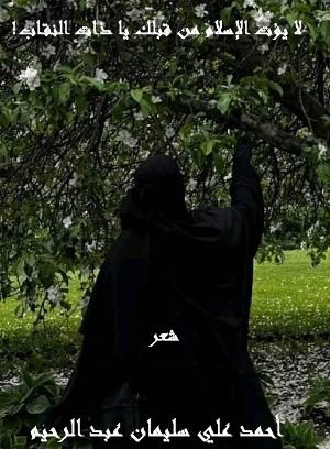 كتاب لا يؤت الإسلام من قبلك يا ذات النقاب 